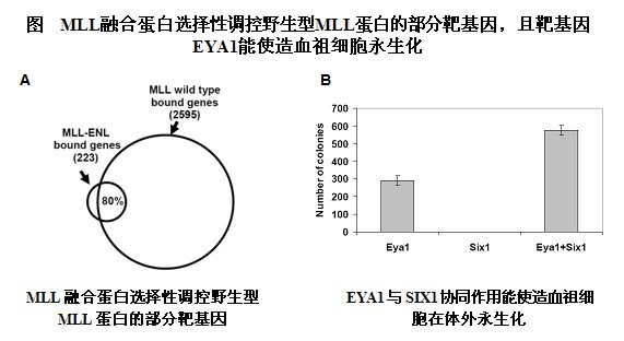 GA黄金甲·体育(中国)官方网站