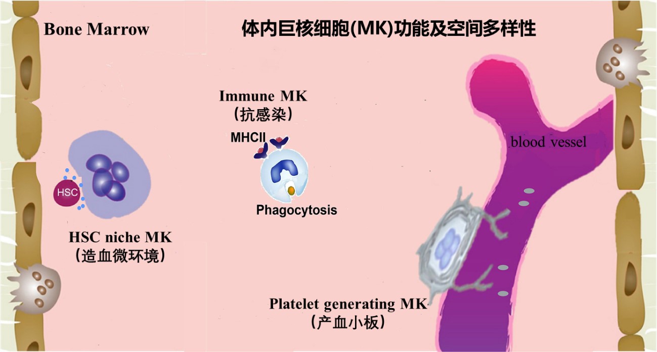 GA黄金甲·体育(中国)官方网站