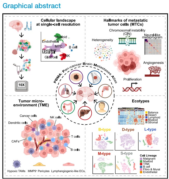 GA黄金甲·体育(中国)官方网站