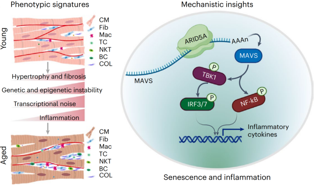 GA黄金甲·体育(中国)官方网站