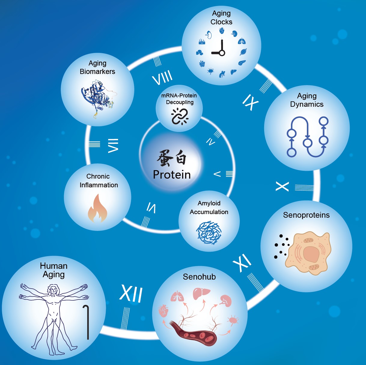 GA黄金甲·体育(中国)官方网站
