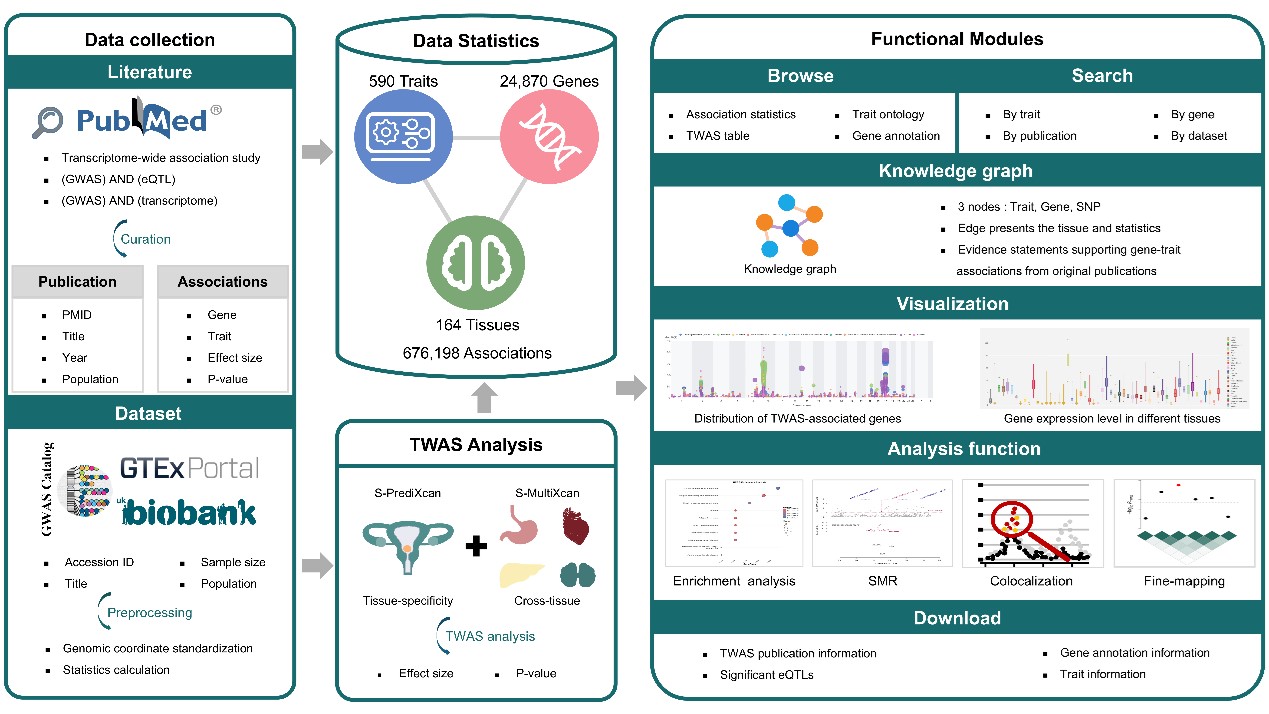 GA黄金甲·体育(中国)官方网站