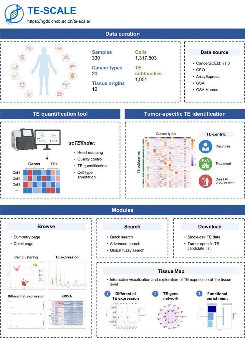 GA黄金甲·体育(中国)官方网站
