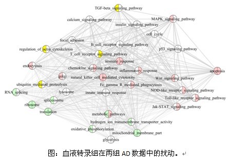 GA黄金甲·体育(中国)官方网站