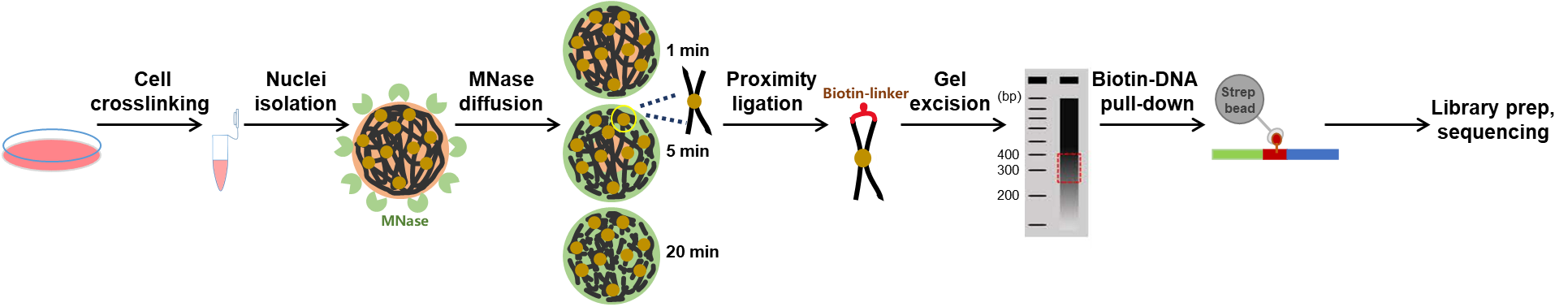 GA黄金甲·体育(中国)官方网站