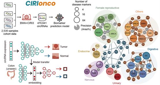 GA黄金甲·体育(中国)官方网站