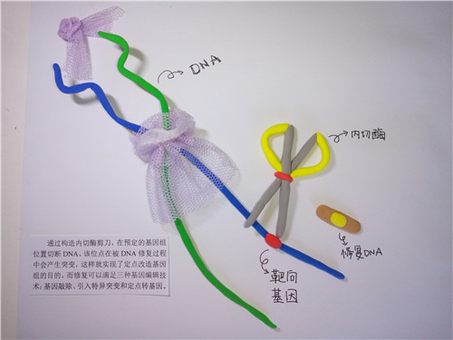 GA黄金甲·体育(中国)官方网站