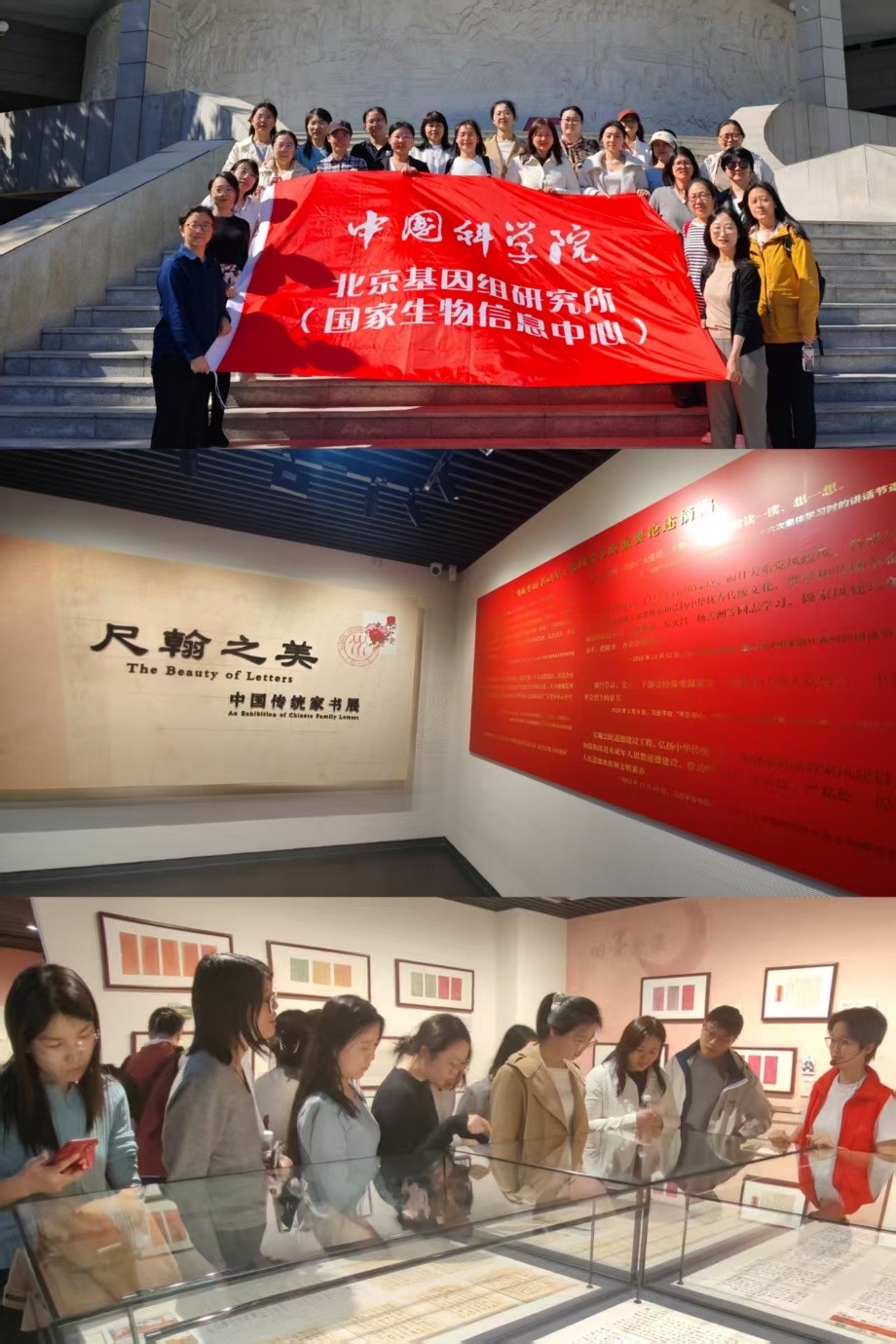 GA黄金甲·体育(中国)官方网站