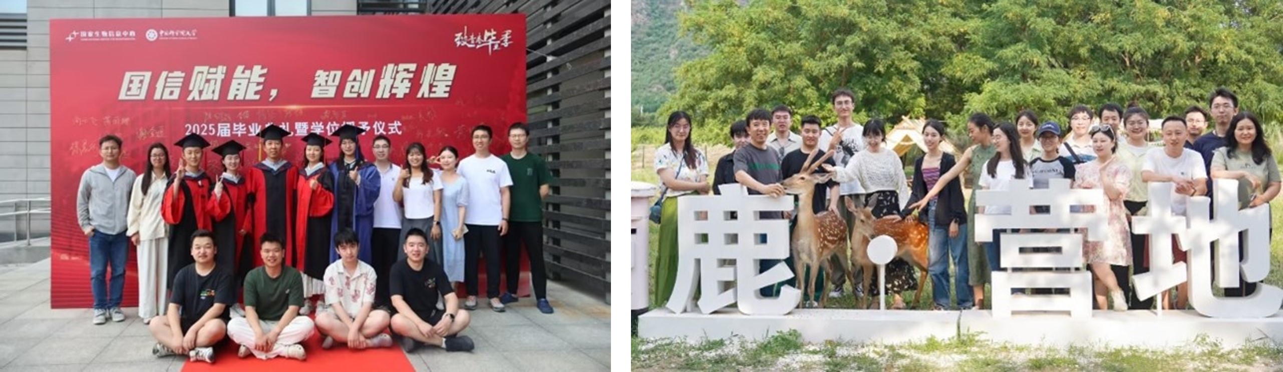 GA黄金甲·体育(中国)官方网站