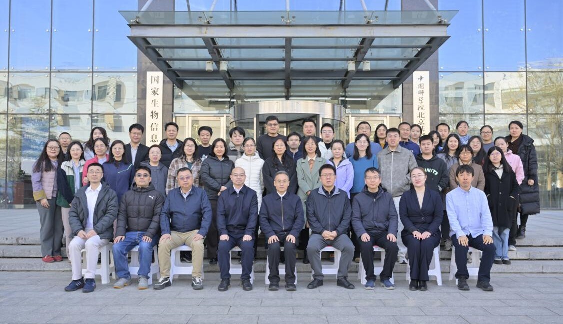 W020260321733303926674 GA黄金甲·体育(中国)官方网站
