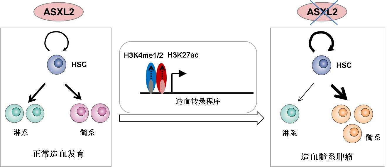 GA黄金甲·体育(中国)官方网站